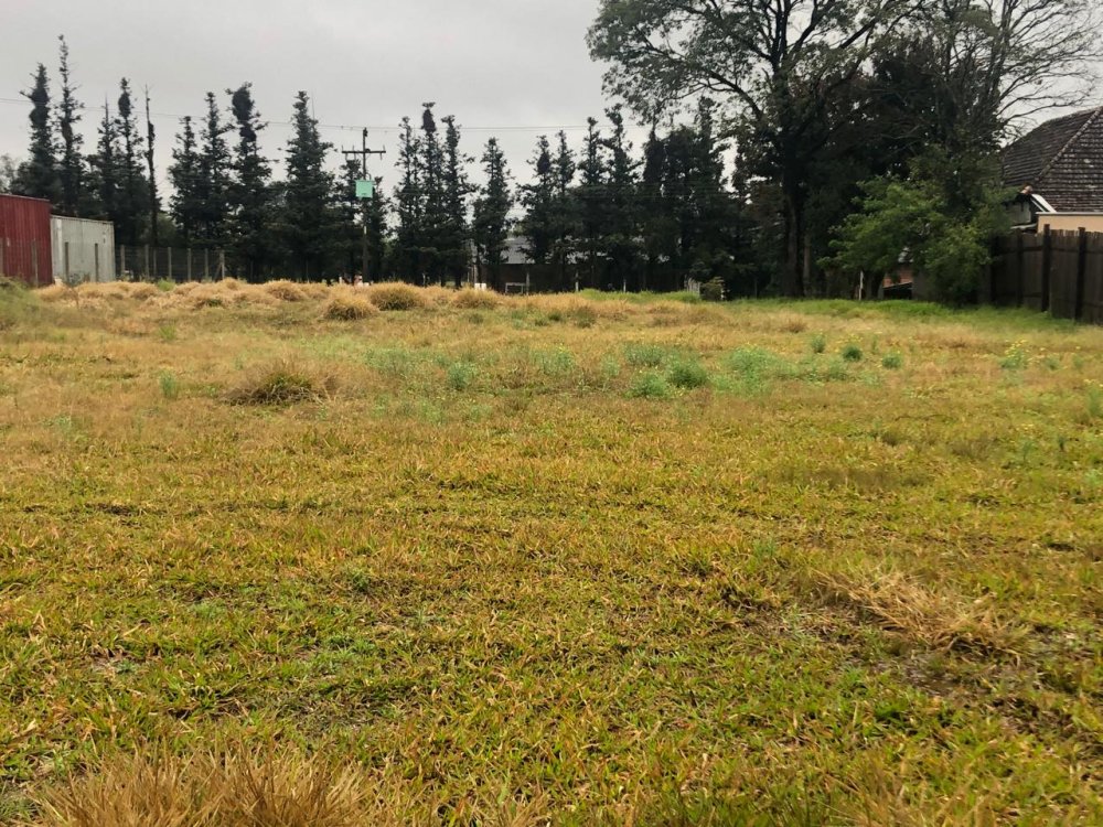 Terreno - Venda - Das Quintas - Estncia Velha - RS